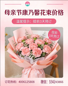 九江修水县花店母亲节康乃馨花束