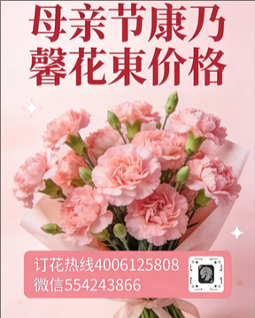 九江修水县花店母亲节康乃馨花束
